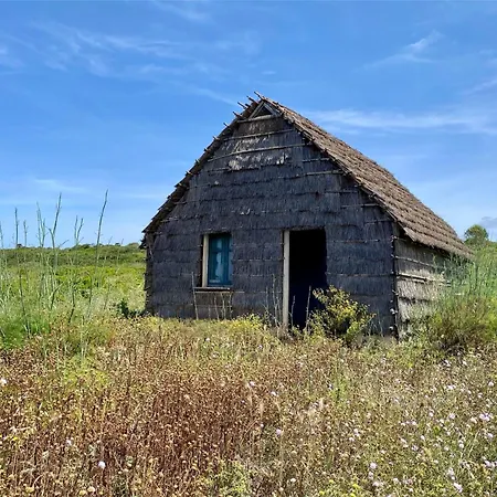 Holiday home Flower House *