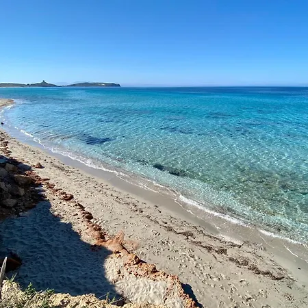 Feriehus Flower House Funtana Meiga