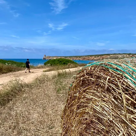 Flower House Feriehus *