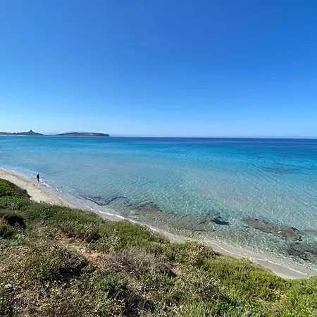 Feriehus Flower House