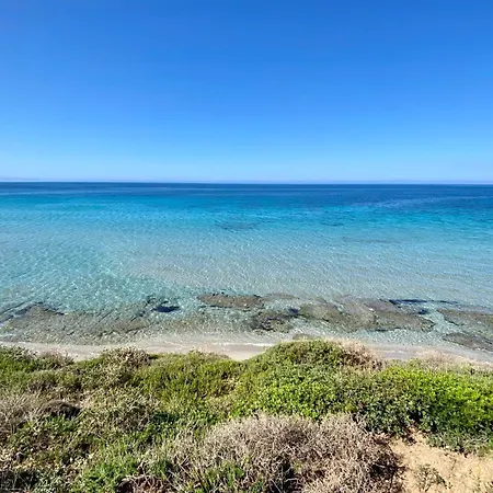 Flower House Funtana Meiga