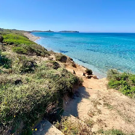 Flower House Funtana Meiga